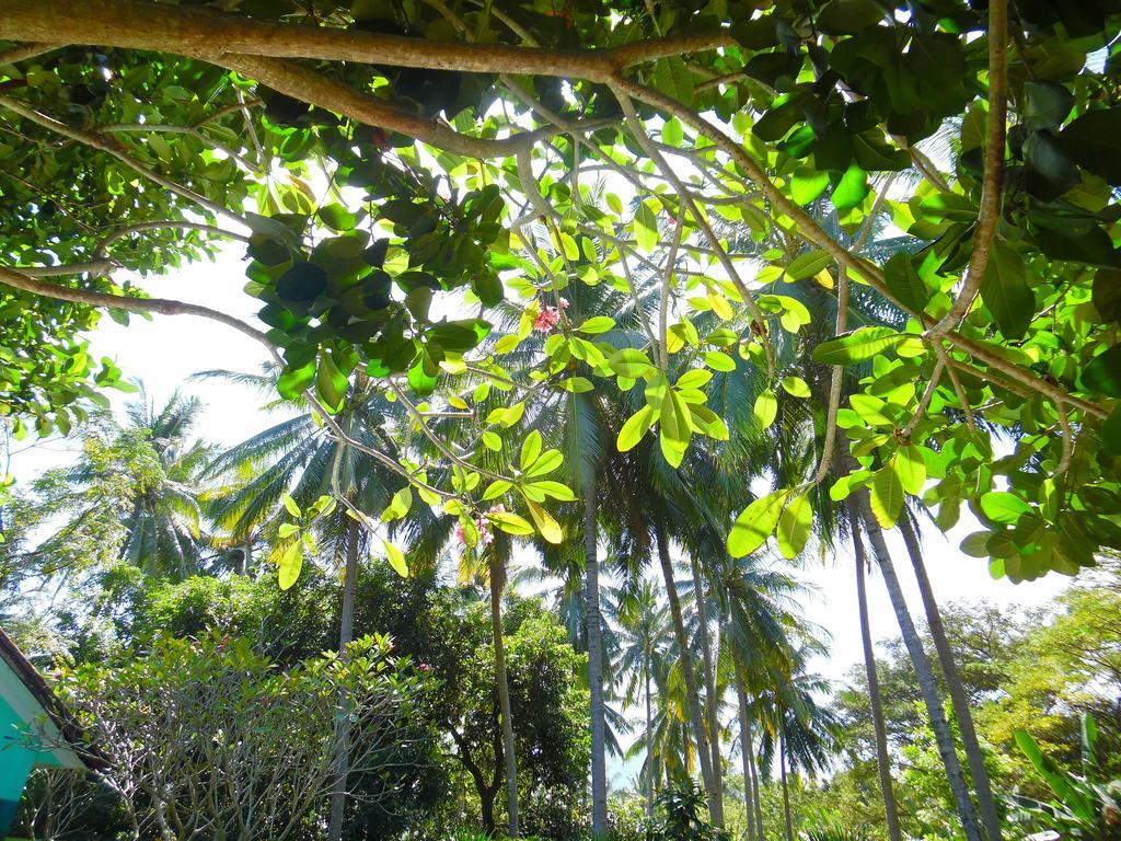 Lazy Monkey Hotel Senggigi Exterior photo